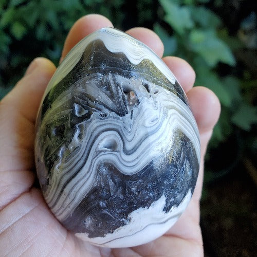 Zebra Aragonite Egg